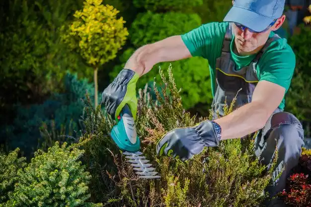 landscaping services Kalida